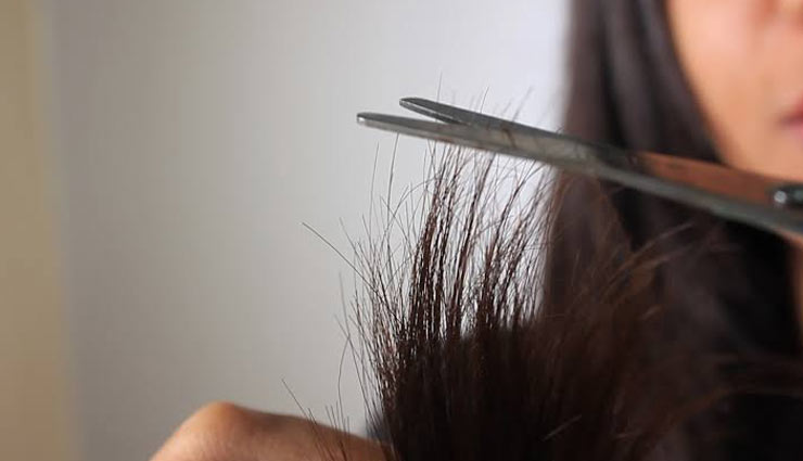 home remedies,home remedies for split ends,tips to get rid of split ends,hair care tips,beauty tips