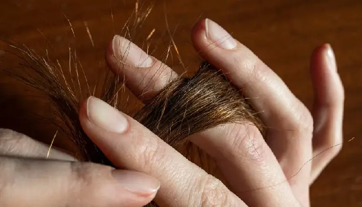 8 Effective Home Remedies To Treat Split Ends