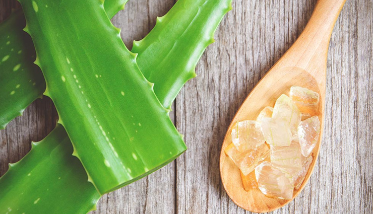 coconut oil,aloe vera,egg yolk,beer bath,papaya,split ends,home remedies for 5 quick remedies to treat split ends,hair care tips,summer tips,beauty tips