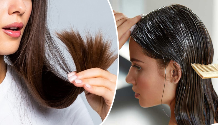 8 Effective Home Remedies To Treat Split Ends