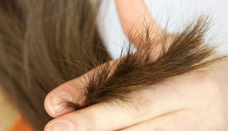 beauty tips,hair care,home remedies,split hair,hair,split hair remedies