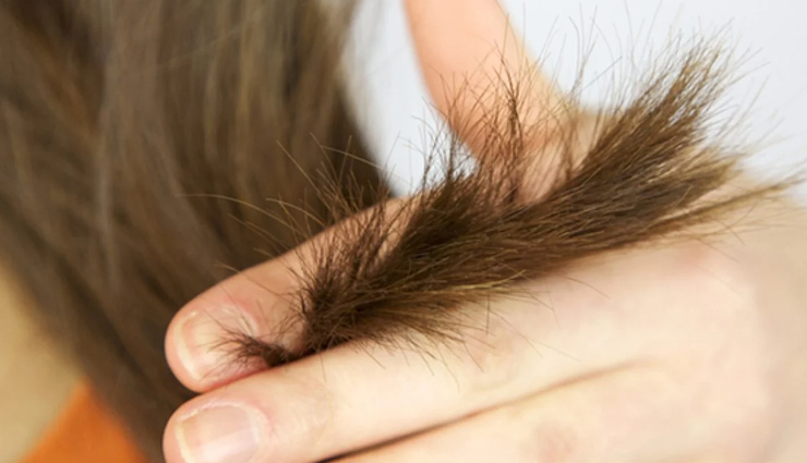 split ends,causes of split ends,hair care tips,beauty tips