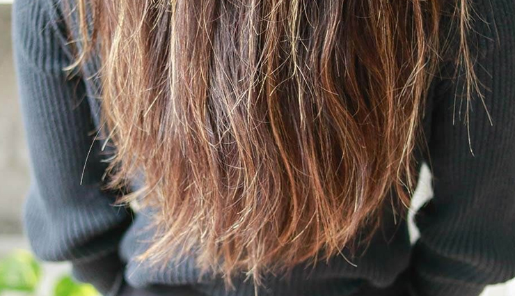 split ends,causes of split ends,hair care tips,beauty tips