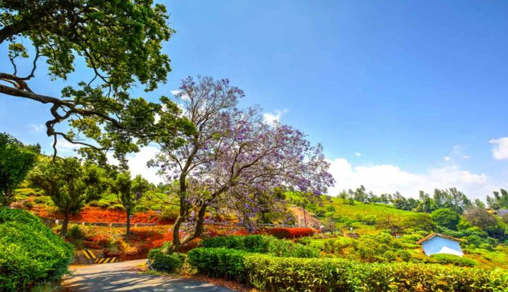 8 Beautiful Places You Can Visit in India During Spring