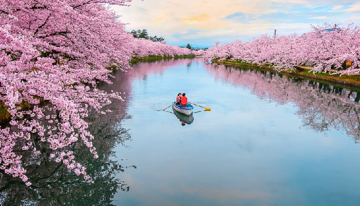 5 Spring Destinations You Can Visit Around The World