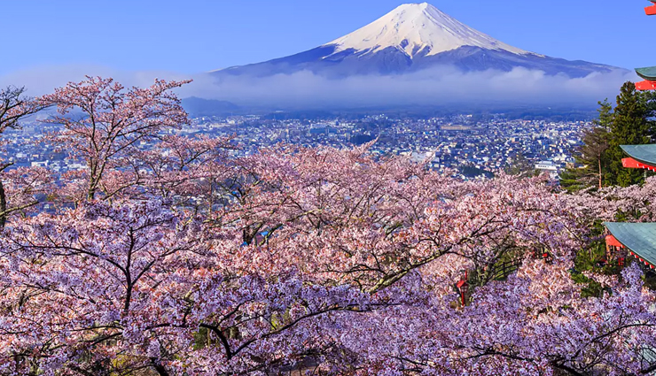 spring festivals to enjoy in 2022,spring festivals around the world,holi festival,india,cherry blossom festival,japan,las fallas,valencia,spain,songkran,thailand,navruz,uzbekistan