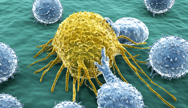 spring onions,health benefits of spring onions,Health tips,fitness tips