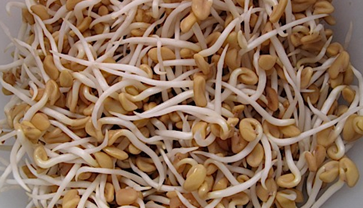 healthy sprouts guide,benefits of eating sprouts,nutritional value of sprouts,sprouts for wellness,adding sprouts to your diet,sprouting for health,how to grow healthy sprouts,sprouts and wellbeing,sprouts in a balanced diet,incorporating sprouts for nutrition