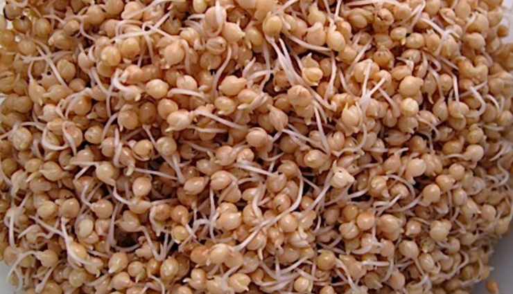 healthy sprouts guide,benefits of eating sprouts,nutritional value of sprouts,sprouts for wellness,adding sprouts to your diet,sprouting for health,how to grow healthy sprouts,sprouts and wellbeing,sprouts in a balanced diet,incorporating sprouts for nutrition