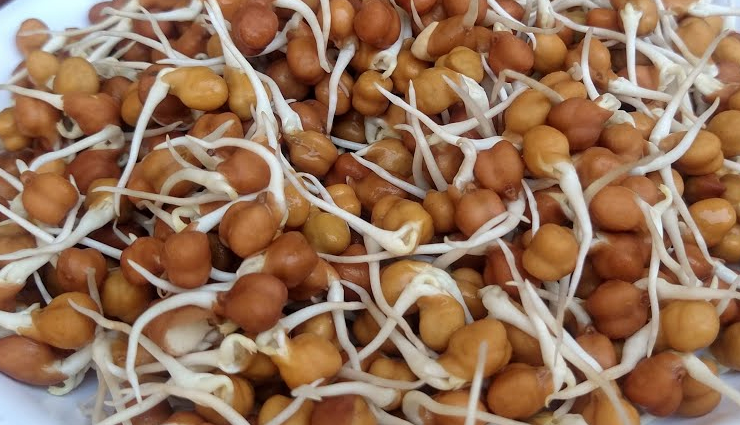 healthy sprouts guide,benefits of eating sprouts,nutritional value of sprouts,sprouts for wellness,adding sprouts to your diet,sprouting for health,how to grow healthy sprouts,sprouts and wellbeing,sprouts in a balanced diet,incorporating sprouts for nutrition