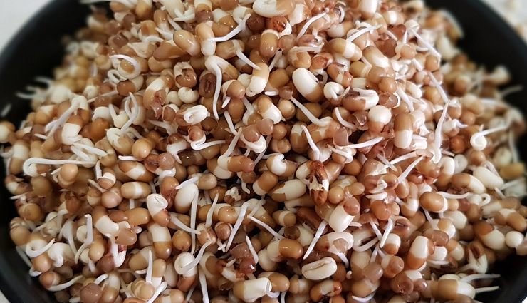 healthy sprouts guide,benefits of eating sprouts,nutritional value of sprouts,sprouts for wellness,adding sprouts to your diet,sprouting for health,how to grow healthy sprouts,sprouts and wellbeing,sprouts in a balanced diet,incorporating sprouts for nutrition