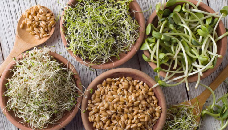 4 Types of Sprouts To Help You Stay Fit