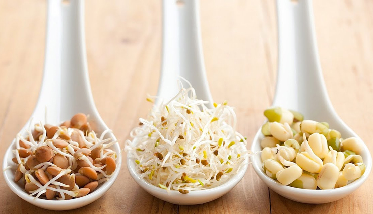 Opt for the Following Types of Sprouts in Your Diet to Make The Most of it