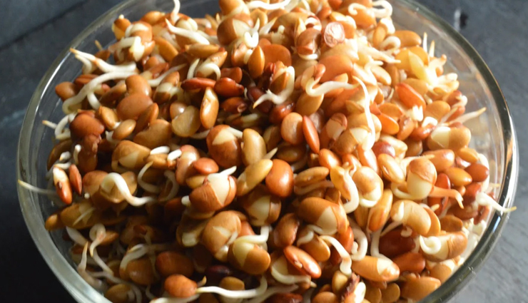 sprouts benefits,health benefits of sprouts,sprouts nutrition,sprouts and digestion,immune system and sprouts,sprouts for weight loss,heart health and sprouts,antioxidants in sprouts,nutrient-dense sprouts,enzymes and sprouts,benefits of eating sprouts daily,sprouts for overall health,low-calorie sprouts,high-fiber sprouts,vitamins and minerals in sprouts