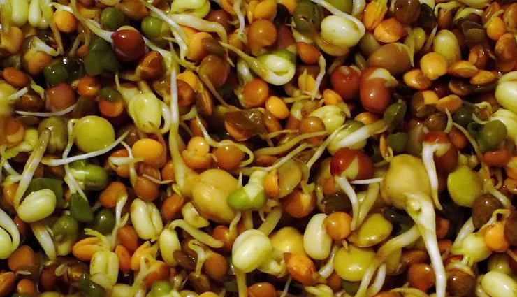 natural remedies for osteoporosis,osteoporosis home remedies,herbal remedies for osteoporosis,natural ways to treat osteoporosis,supplements for osteoporosis,osteoporosis prevention and natural remedies,foods for osteoporosis prevention,holistic remedies for osteoporosis,non-pharmaceutical treatment for osteoporosis,lifestyle changes for managing osteoporosis