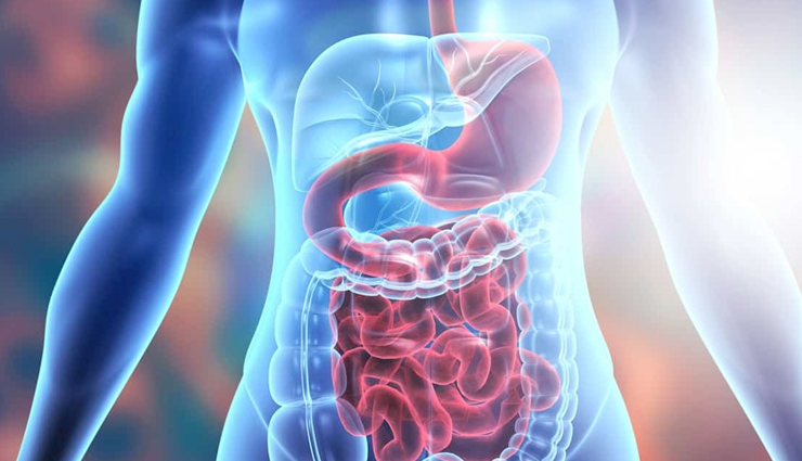 sprouts,health benefits of sprouts,Health tips,fitness tips