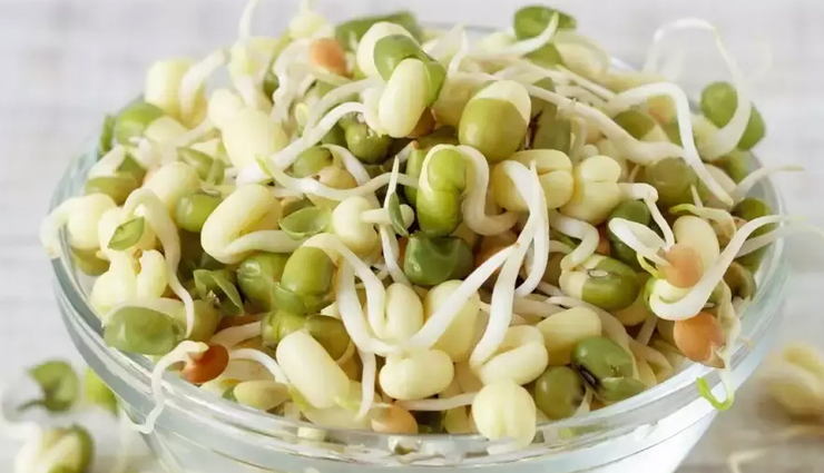 स्वस्थ रहना हैं तो डाइट में जरूर शामिल करें ये हेल्दी स्प्राउट, सेहत को पहुंचाते हैं कई फायदे