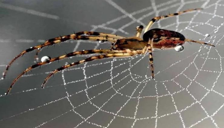 vastu tips,vastu tips in hindi,negativity in life