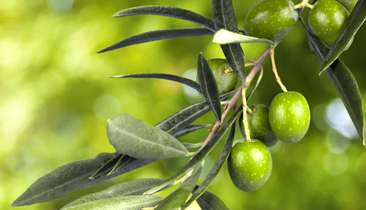 natural skincare products to treat dry skin during winters,beauty tips,beauty hacks