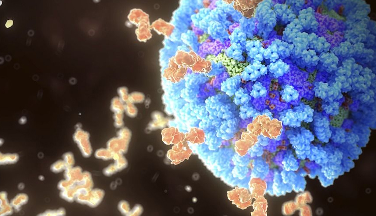 health benefits of squash,squash for kids,kids health tips,Health tips,fitness tips