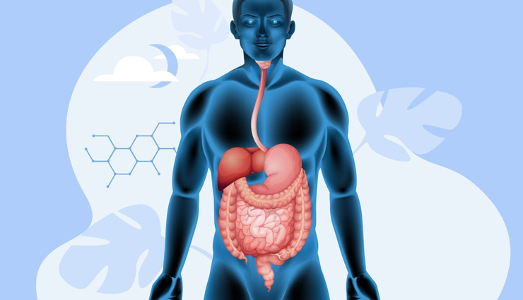 health benefits of squash,squash for kids,kids health tips,Health tips,fitness tips