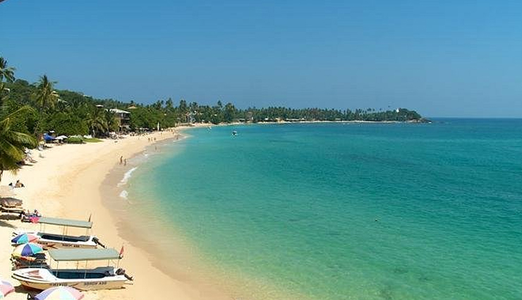 sri lanka,places to visit in sri lanka,tourist attraction in sri lanka,arugam bay,temple of the tooth relic,jaffna,ella,nuwara eliya