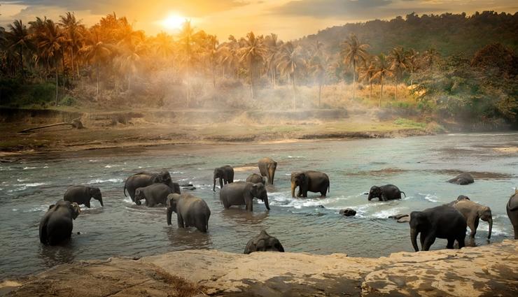 भारत के पडोसी देश श्रीलंका में हैं कई टूरिस्ट डेस्टिनेशन्स, जानें इनके बारे में 