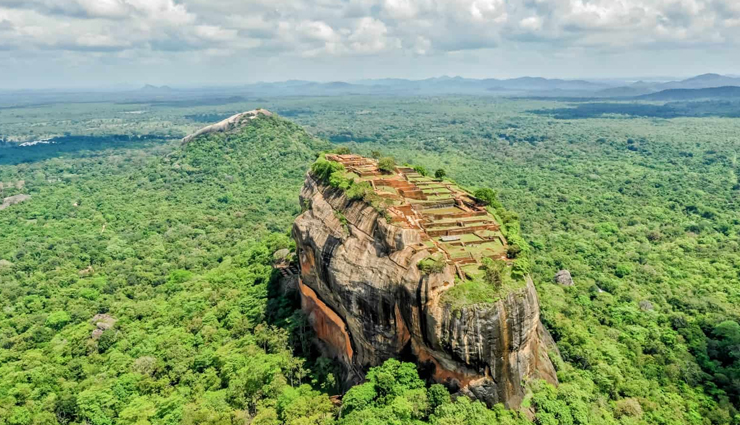 sri lanka,places to visit in sri lanka,things to do in sri lanka,city tour on a bus,exotic flavors of tea,the lion rock,elephant safaris,sea food