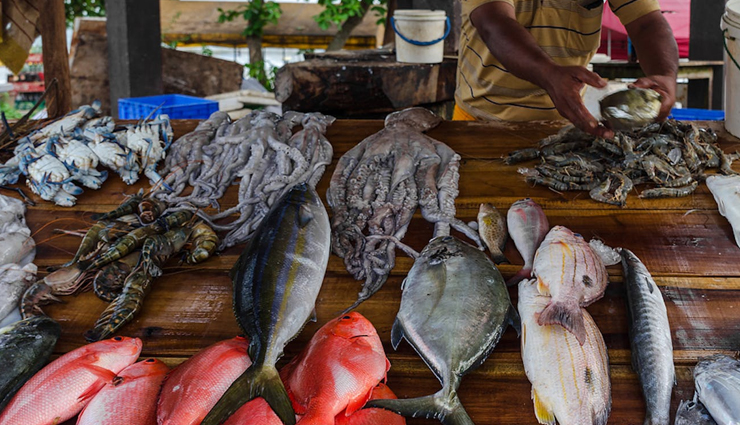 sri lanka,things to do in sri lanka places to visit in sri lanka