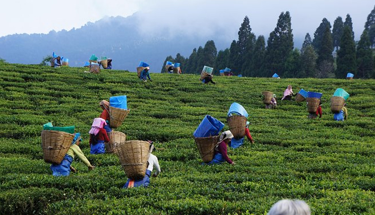 sri lanka,places to visit in sri lanka,tourist attraction in sri lanka,galle fort,unawatuna beach,kandy to ella train,kandy market,nuwara eliya tea plantations,the knuckles mountain range,arugam bay,sigiriya rock fortress