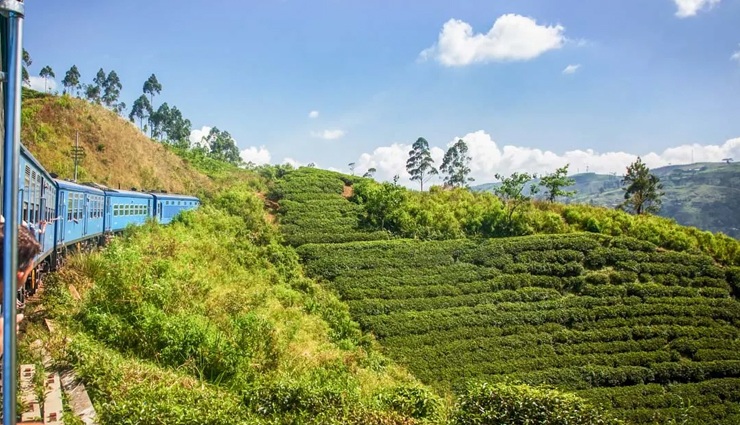 sri lanka,places to visit in sri lanka,tourist attraction in sri lanka,arugam bay,temple of the tooth relic,jaffna,ella,nuwara eliya