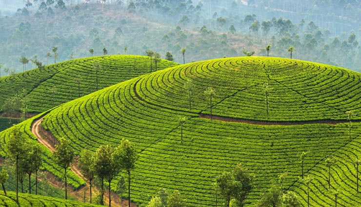 traveling tips,traveling places,sri lanka,sri lanka places