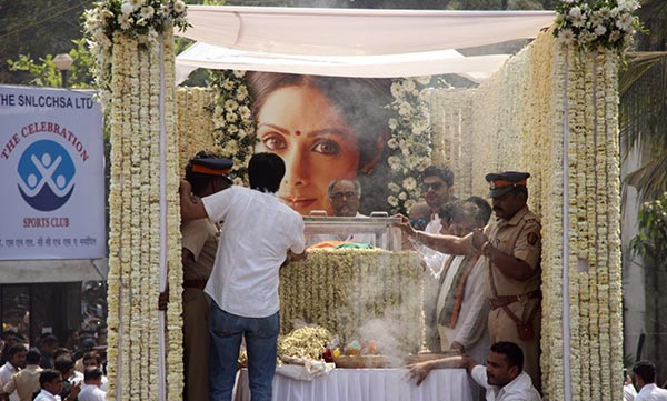 bollywood,sridevi,sridevi ceremation