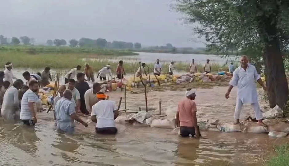 श्रीगंगानगर: घग्गर नदी का बांध टूटा, खेत डूबे पानी में, अलर्ट जारी