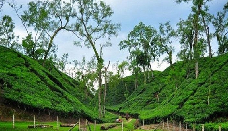 tourist places in bangladesh,must-visit destinations in bangladesh,best places to visit in bangladesh,top attractions in bangladesh,popular tourist spots in bangladesh,bangladesh travel destinations,sightseeing in bangladesh