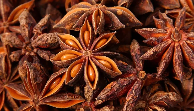 7 Amazing Health Benefits of Star Anise