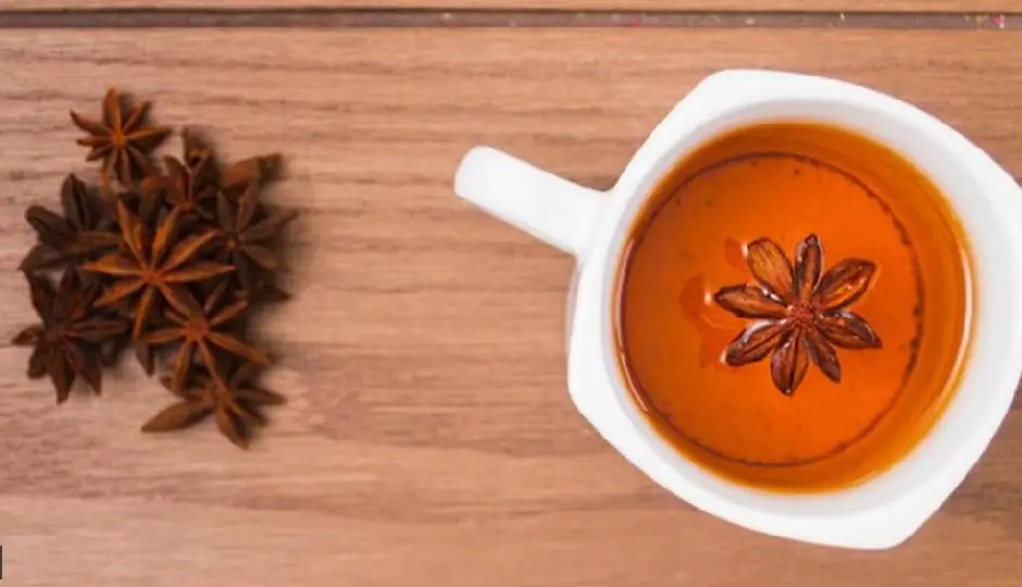 चक्र फूल का पानी: सेहत का खजाना, इम्यूनिटी से लेकर स्किन एजिंग तक देता है जबरदस्त फायदा