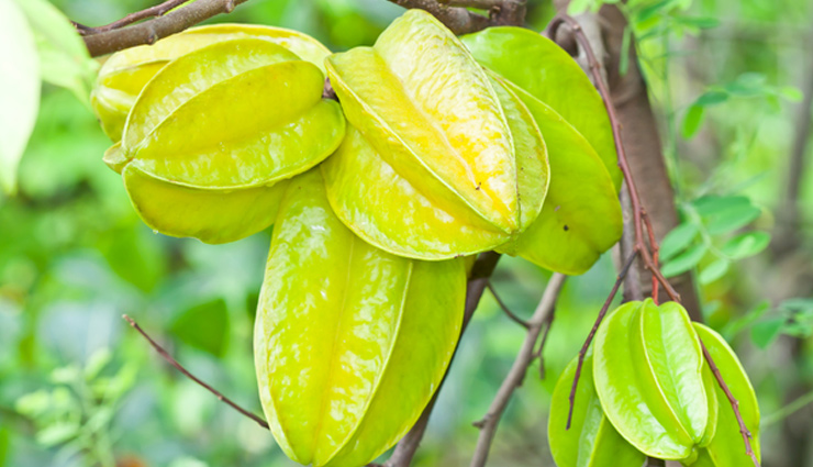 healthy diet,carambola,carambola fruit,carambola fruit benefits,carambola fruits health benefits,benefits of carambola,star fruits,star fruits benefits,what are the benefits of eating star fruit,carambola tree,carambola fruits juice,kamarkha,kamarkha ke fayde,how do you eat carambola,Health,Health tips