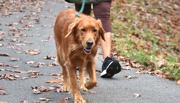 stay active,tips to stay active,Health tips,fitness tips