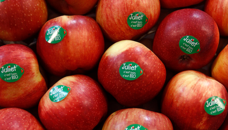 क्या आप जानते है फलों पर लगे स्टिकर्स का होता है विशेष महत्व, आइये हम बताते है इससे जुड़ा राज क्या आप जानते है फलों पर लगे स्टिकर्स का होता है विशेष महत्व, आइये हम बताते है इससे जुड़ा राज