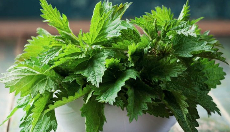 emphysema,emphysema treatment,home remedies to treat emphysema,emphysema problem,Health,Health tips