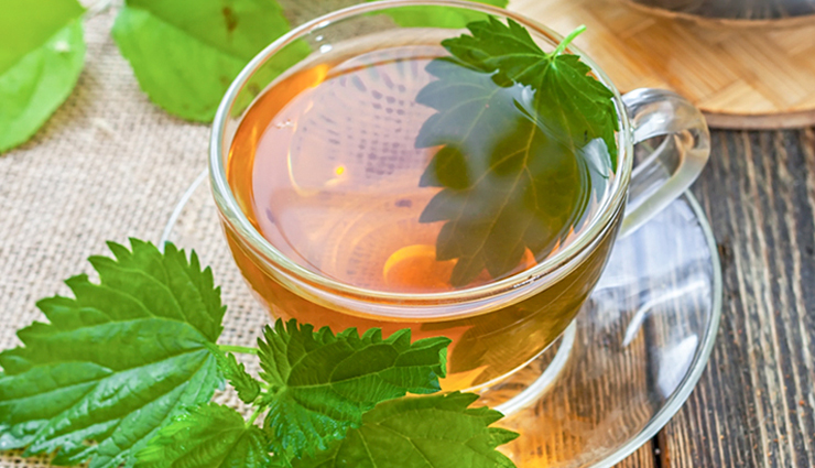 best tea for allergies,allergy,healthy tea,tea benefits,ginger tea,stinging nettle tea,green tea,butterbur tea,rooibos tea,Health,Health tips
