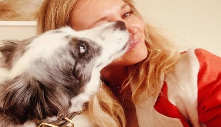 पालतू कुत्ते को ढूंढने के लिए किराए पर लिया प्लेन, कर डाली 5 लाख के इनाम की घोषणा