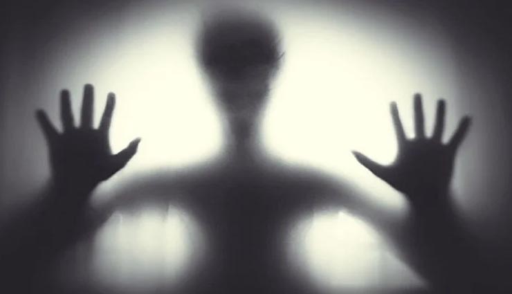 weird news,weird incident,strange scream,viral video,social media