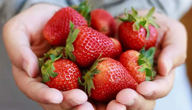 cancer prevention tips,cancer fighting fruits,causes of cancer,lifestyle disease,fruits that reduce cancer risk,cancer myths,tumor vs cancer,antioxidants and cancer,how to prevent cancer naturally,cancer awareness