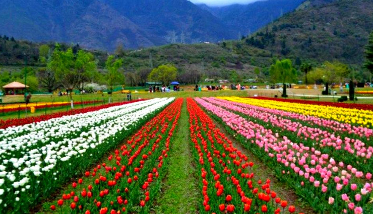 gulmarg tourism attractions,top things to do in gulmarg,best places to visit in gulmarg,gulmarg sightseeing guide,scenic spots in gulmarg,gulmarg travel tips,must-see attractions in gulmarg,gulmarg tourist destinations,things to see in gulmarg,gulmarg adventure activities