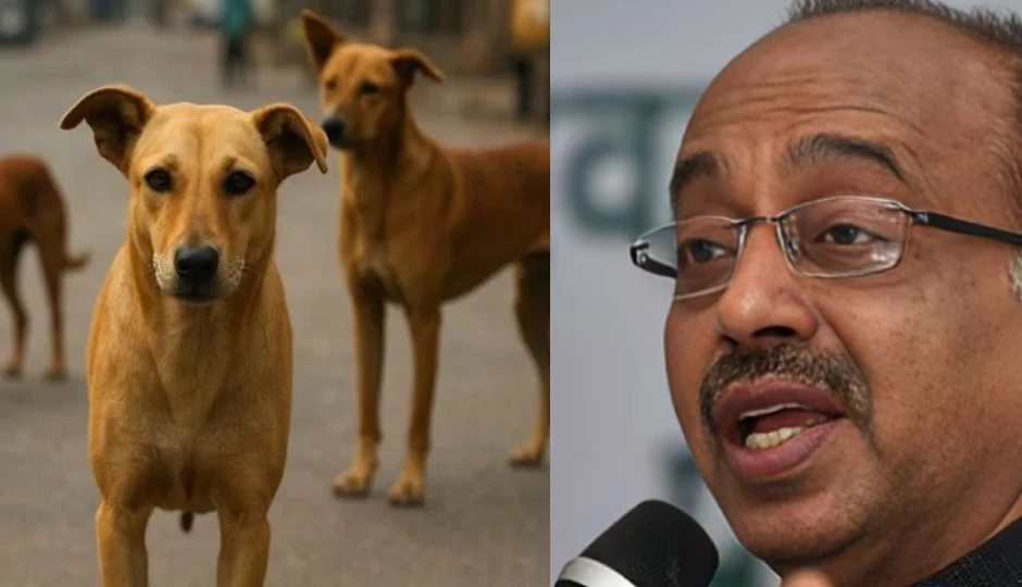 'दिल्ली कुत्तों का शहर बन जाएगी?' – SC के आदेश पर BJP नेता विजय गोयल का बयान