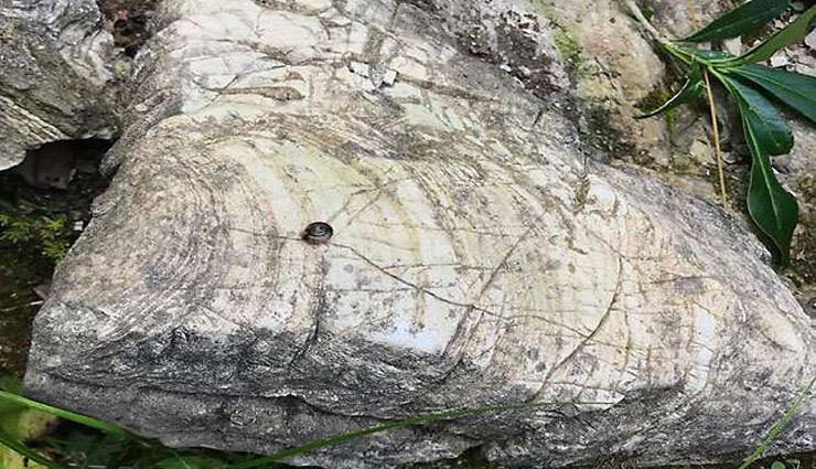 उत्तराखंड :  टिहरी के प्रतापनगर स्थित पीड़ी पर्वत में मिला स्ट्रोमैटोलाइट फॉसिल्स का खजाना, माना जा रहा 50 करोड़ साल पुराना