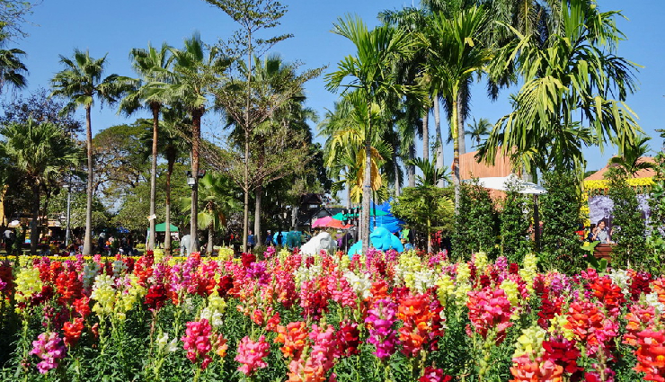 chiang mai flower festival attractions,reasons to visit chiang mai flower festival,highlights of chiang mai flower festival,chiang mai floral extravaganza,flower parade chiang mai,cultural events in chiang mai,chiang mai festival tourism,must-see at chiang mai flower festival,exploring chiang mai floral beauty,traveling to chiang mai for the flower festival