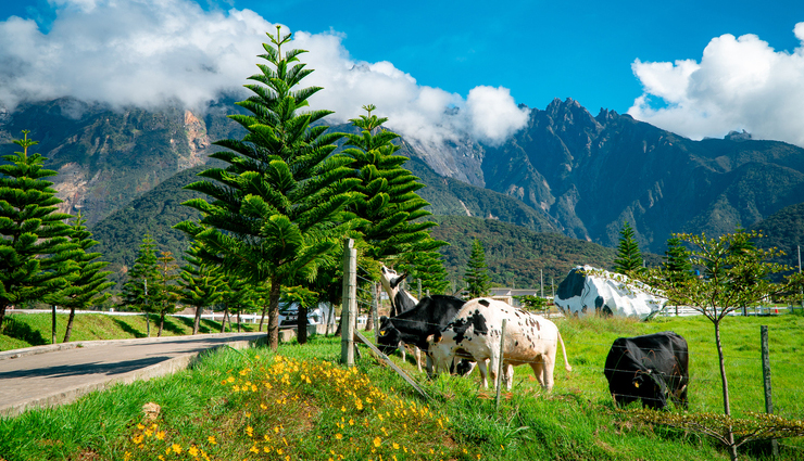 things you can do in kundasang,sabah,holiday,travel,tourism